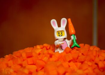 Consuming a Plant-Based mostly Food plan: Safely Going Vegan