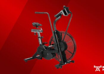 Assault Health AssaultBike Professional X Assessment (2024)