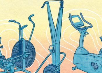 The Newbie’s Information to All of the Totally different Cardio Machines at Your Health club