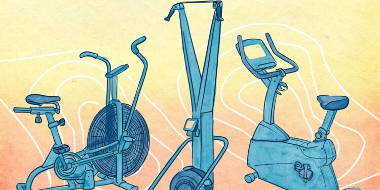 The Newbie’s Information to All of the Totally different Cardio Machines at Your Health club