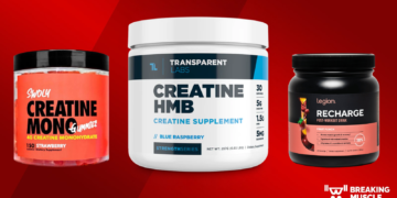 Greatest Creatine for Males of 2025