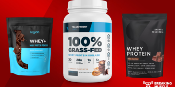 Greatest Whey Protein Powders of 2025
