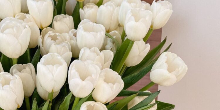 The Lesson I Must Hold Studying