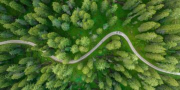 Selecting Your Minimalist Path