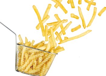 RFK needs fries cooked in beef tallow, however are they any more healthy? : Pictures