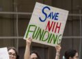 Trump desires to erase DEI. Researchers fear it can upend work on well being disparity : Pictures