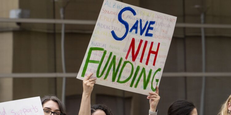 Trump desires to erase DEI. Researchers fear it can upend work on well being disparity : Pictures