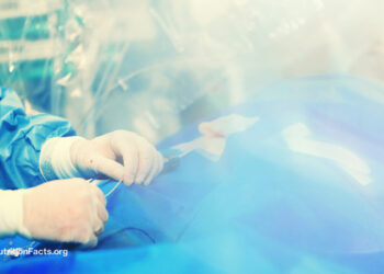 The Effectiveness of Angioplasty and Coronary heart Stent Procedures 