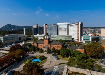 Seoul Nationwide College Hospital builds Korean medical LLM