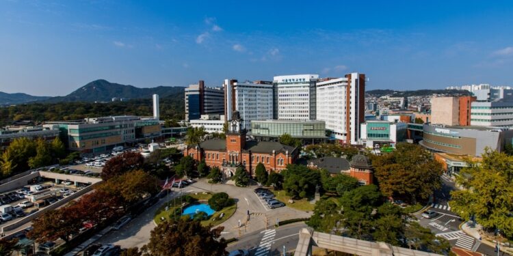 Seoul Nationwide College Hospital builds Korean medical LLM