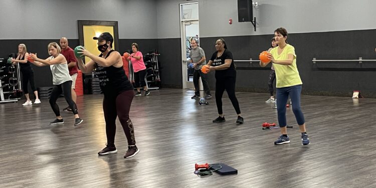 Totally different Forms of Exercise & Health Courses