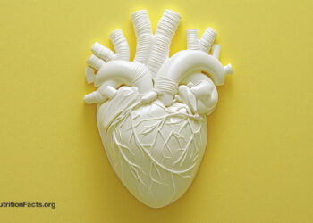 The Dangers vs. Advantages of Angioplasty and Coronary heart Stents 