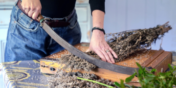 The Historical Follow Serving to Fashionable Girls Reclaim Pelvic Well being