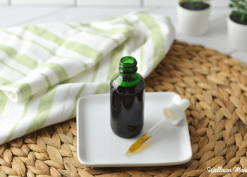 Home made Stevia Extract