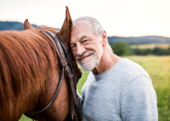 The therapeutic worth of horses for army veterans with PTSD