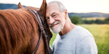 The therapeutic worth of horses for army veterans with PTSD