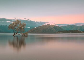 The Greatest Time to Begin Residing Merely Is Now