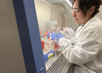 As a variety grant dies, younger scientists concern it should hang-out their careers : Photographs