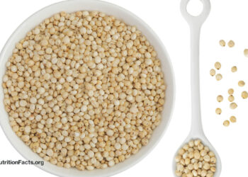 Why Is Sorghum One in every of My New Favourite Grains? 