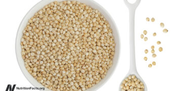 Why Is Sorghum One in every of My New Favourite Grains? 