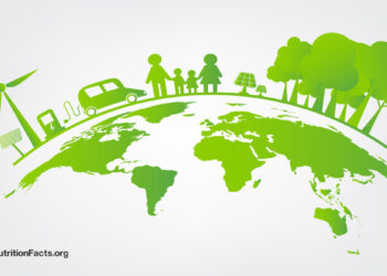 What Are the Environmental Impacts of Plant-Primarily based Meats? 