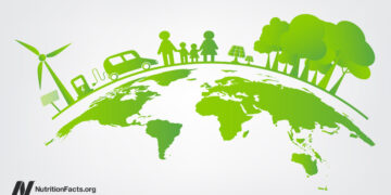 What Are the Environmental Impacts of Plant-Primarily based Meats? 