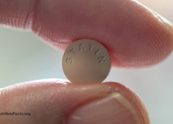 Statins and Muscle Ache Facet Results 