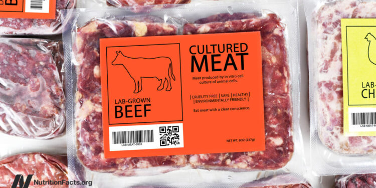 Meals Security and Cultivated Meat
