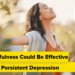Why Mindfulness May Be Efficient for Persistent Melancholy