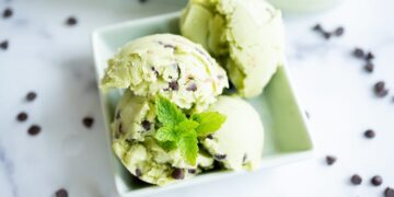 Selfmade Mint Chocolate Chip Ice Cream Recipe (Dairy Free & Paleo)