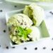 Selfmade Mint Chocolate Chip Ice Cream Recipe (Dairy Free & Paleo)