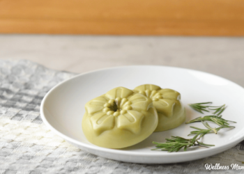 DIY Bug Repellent Lotion Bars