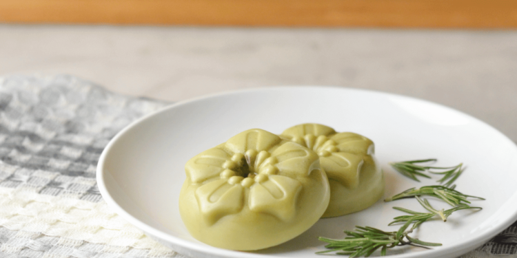 DIY Bug Repellent Lotion Bars