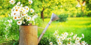 110 Inspirational June Quotes for a Optimistic, Enjoyable and Glad Summer season Month