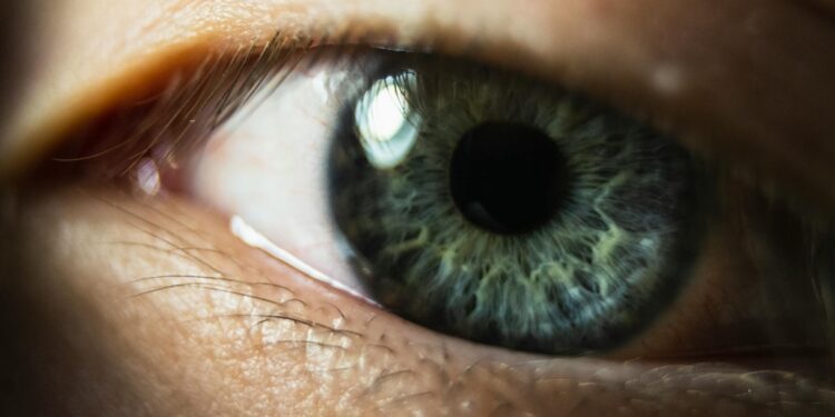 AI captures historical Indian idea of feelings