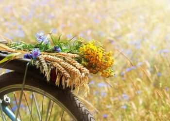 Constructive, Lovely and Humorous Sayings to Welcome This Summer season Month