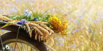 Constructive, Lovely and Humorous Sayings to Welcome This Summer season Month