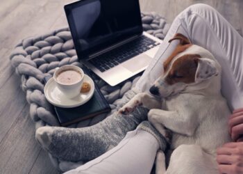 Romanticize Your Life: My Secret to Getting Sh*t Carried out With Extra Pleasure