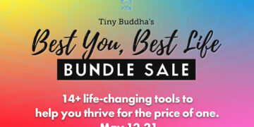 10 Days Solely—14+ Life-Altering Instruments for the Value of One!