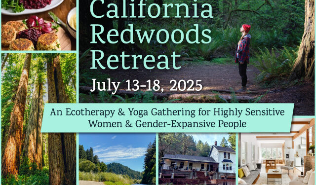 A Soulful Retreat for Delicate Hearts in a Chaotic World