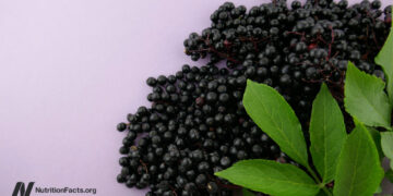 What About Elderberry, Echinacea, and Cranberries for Colds and the Flu? 