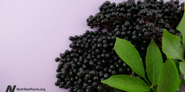 What About Elderberry, Echinacea, and Cranberries for Colds and the Flu? 