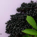 What About Elderberry, Echinacea, and Cranberries for Colds and the Flu? 