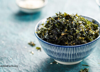 A Wholesome, Pure Supply of Iodine? 