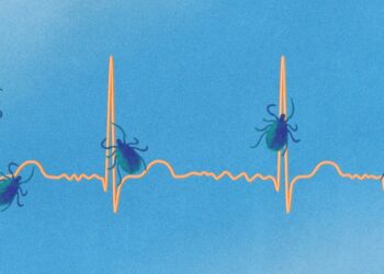 7 Stunning Signs of Lyme Illness