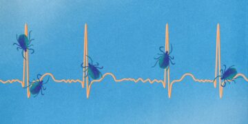 7 Stunning Signs of Lyme Illness