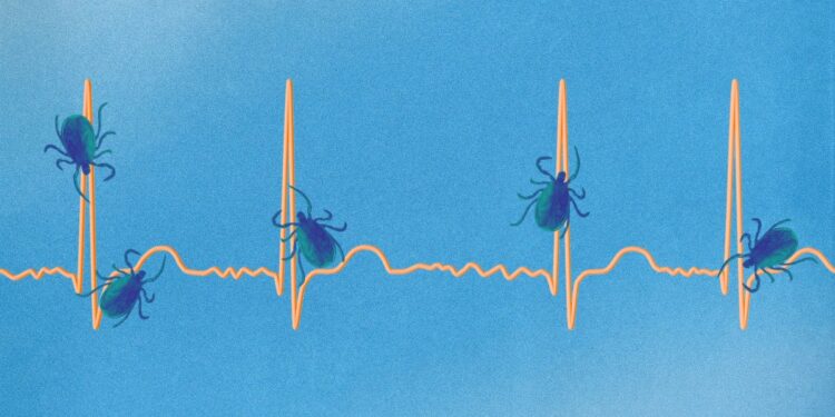 7 Stunning Signs of Lyme Illness