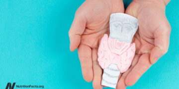 Treating Hashimoto’s Illness (Hypothyroidism) Naturally with Weight loss program 