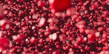 What’s within the blood? Immune cell modifications in schizophrenia