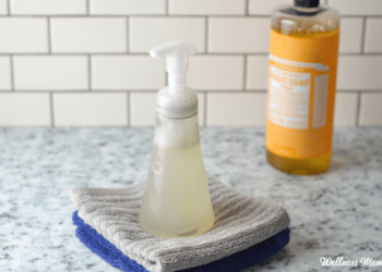 DIY Foaming Hand Cleaning soap